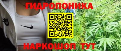 гашик Лесосибирск