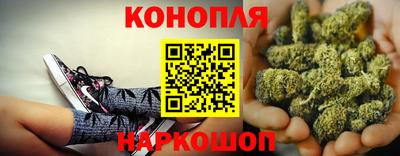 прущие грибы Ливны