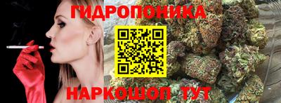 гашик Лесосибирск