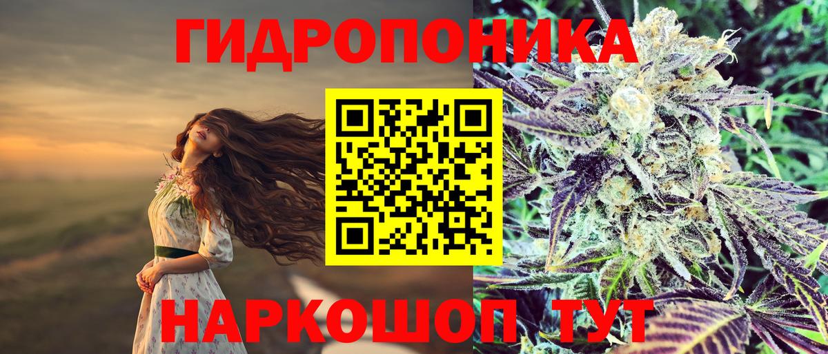 Марихуана семена Гудермес
